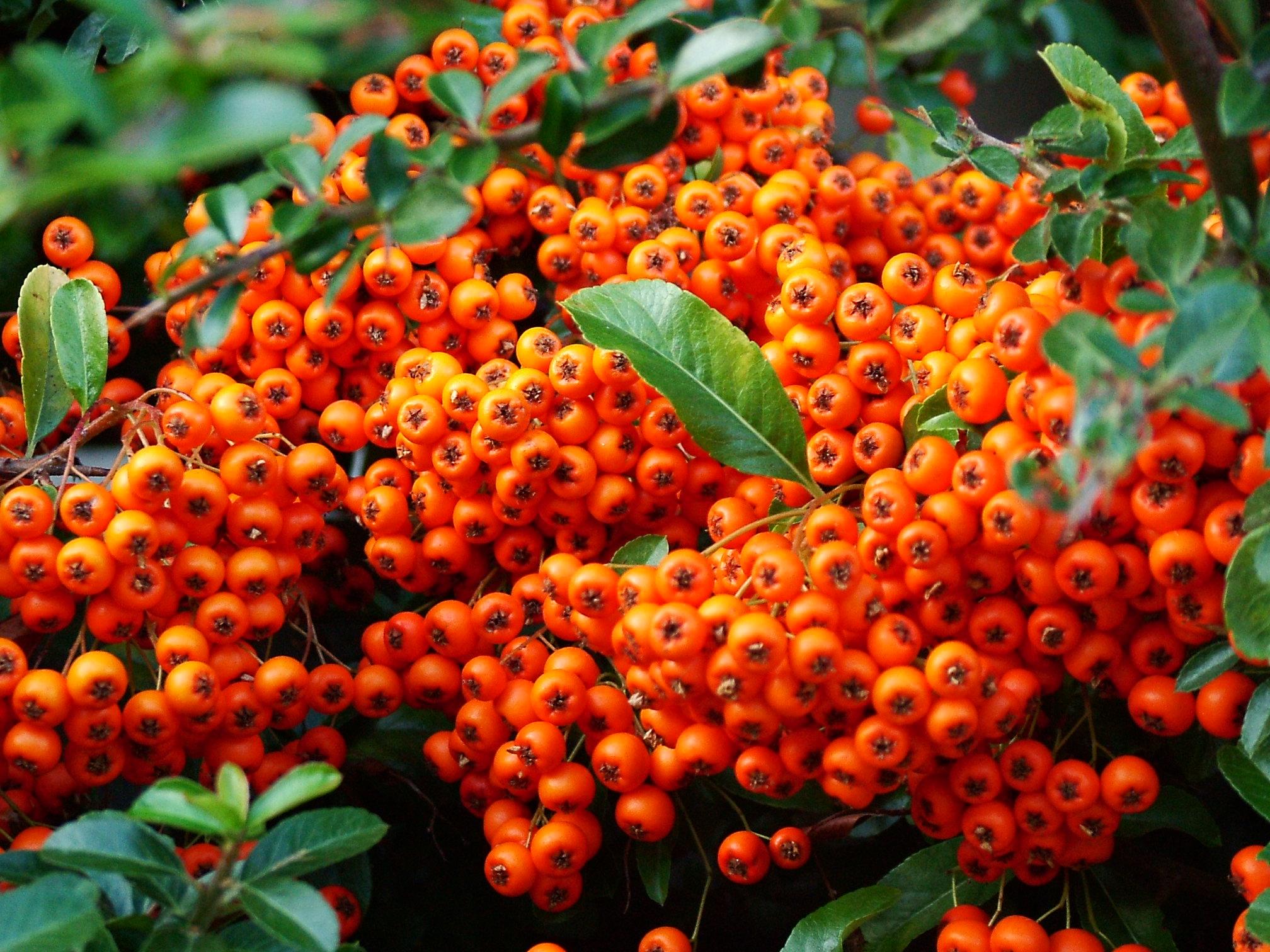 Catina Asociatia Prietenii Lui Adrian Catina Asociatia Prietenii Lui Adrian